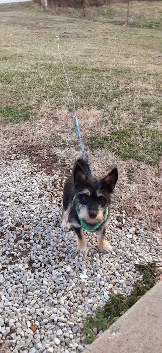 Willard Veterinary Hospital 3