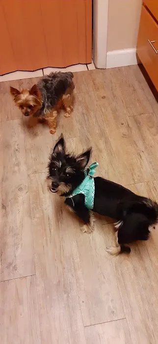 Willard Veterinary Hospital 4
