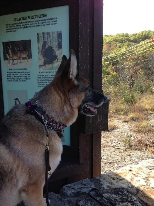Country Hills Animal Hospital 5