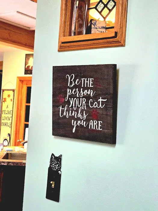 Pampurred Cat 3