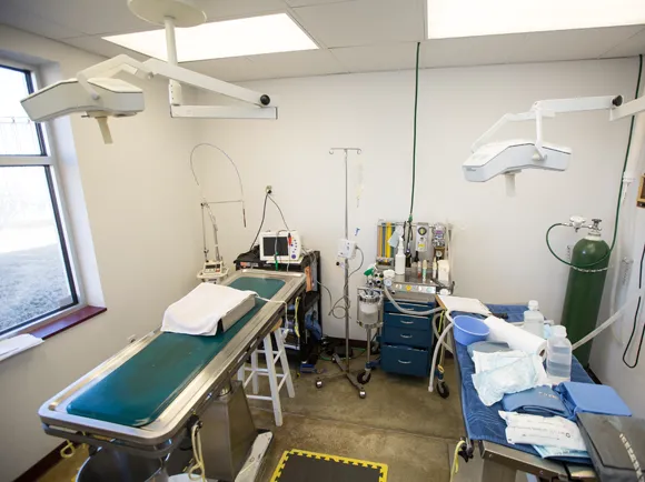 Gentle Care Animal Hospital 4