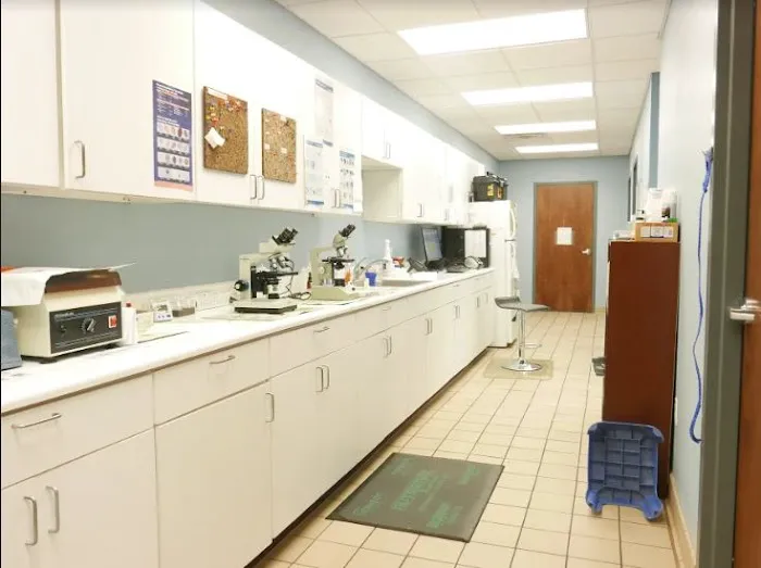 Gentle Care Animal Hospital 7