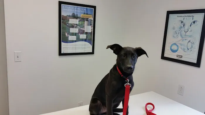 Gentle Care Animal Hospital 3