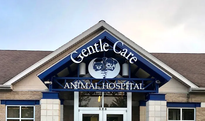 Gentle Care Animal Hospital 10