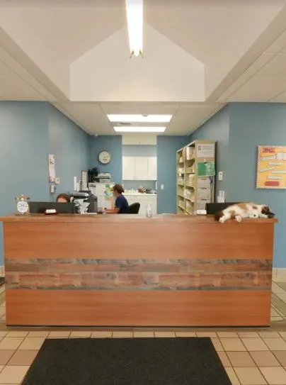 Gentle Care Animal Hospital 9