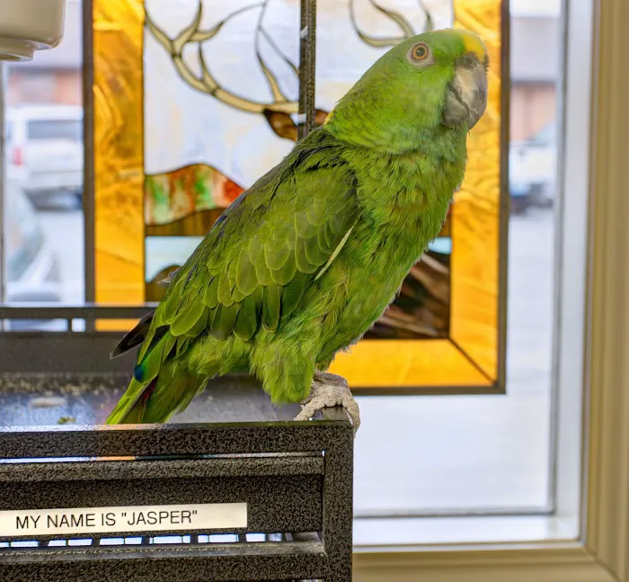James River Animal Hospital 10