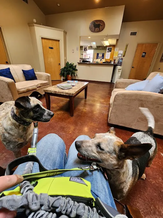James River Animal Hospital 3