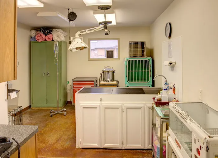 James River Animal Hospital 7