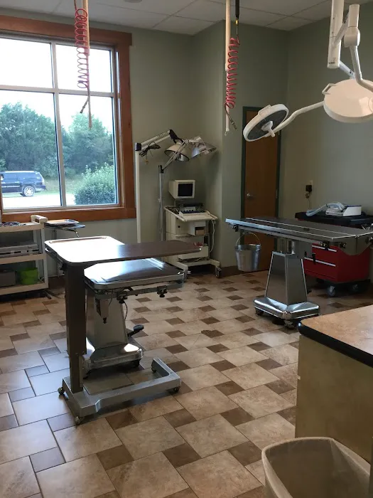 Best Friends Animal Hospital 8