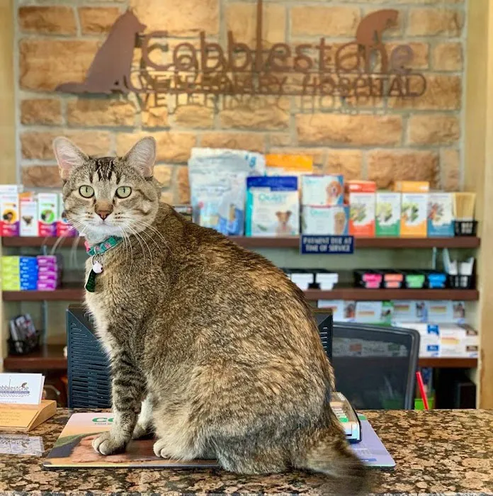 Cobblestone Veterinary Hospital 8