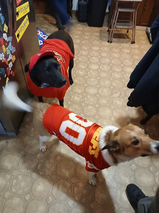 Seven Hills Veterinary Clinic 6