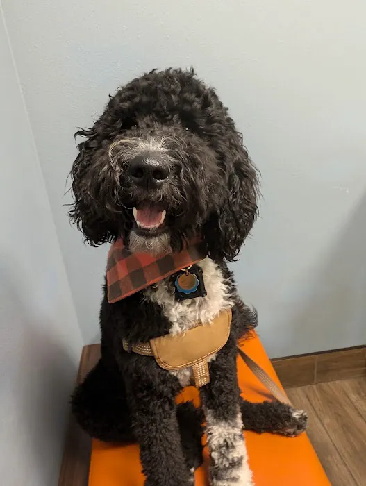 Seven Hills Veterinary Clinic 4