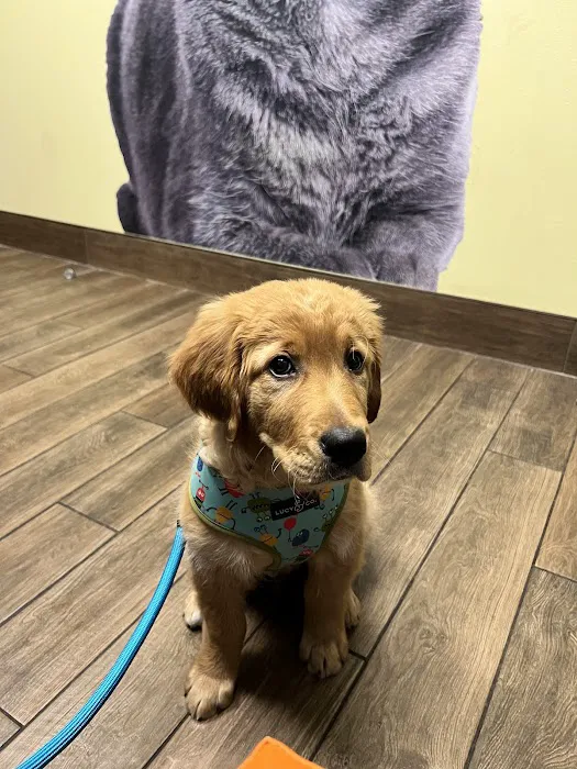 Seven Hills Veterinary Clinic 5