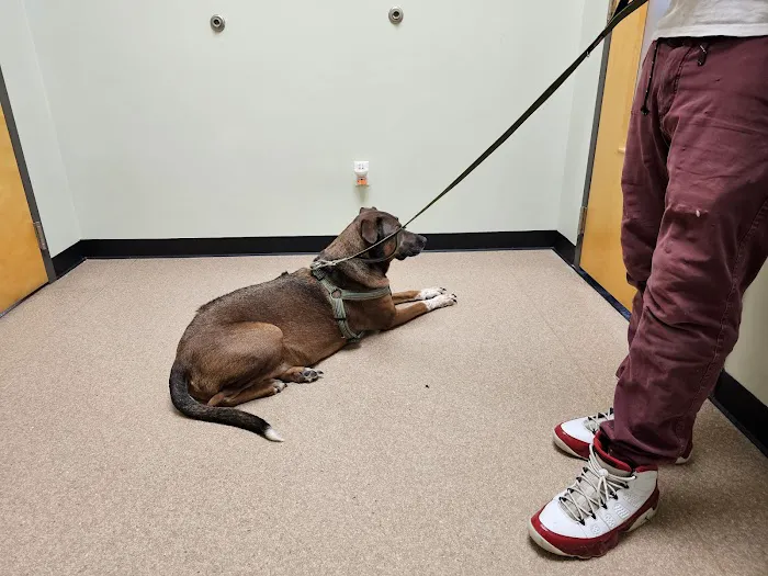 Healing Paws Veterinary Clinic 3