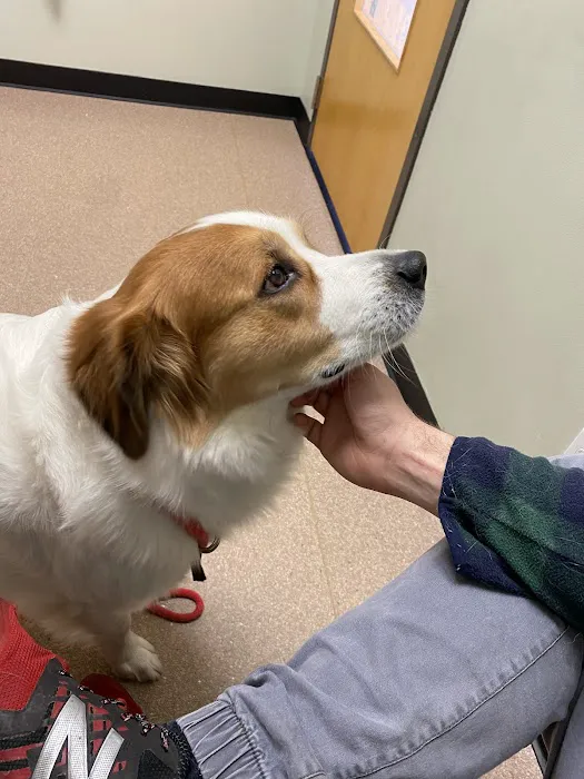 Healing Paws Veterinary Clinic 6