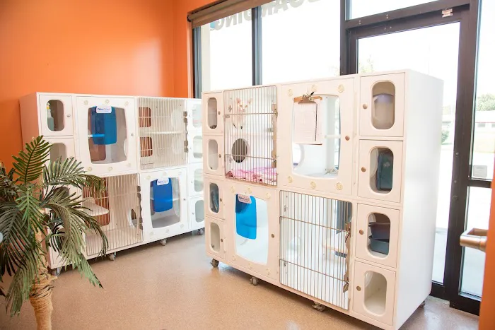 Healing Paws Veterinary Clinic 10