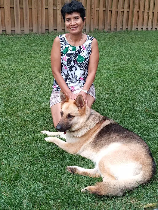 VCA Parkcrest Animal Hospital and Pet Lodge 1