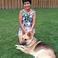 VCA Parkcrest Animal Hospital and Pet Lodge ico