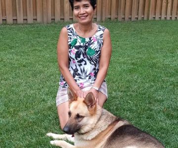 VCA Parkcrest Animal Hospital and Pet Lodge