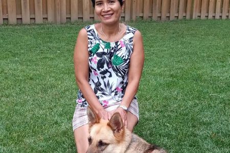 VCA Parkcrest Animal Hospital and Pet Lodge