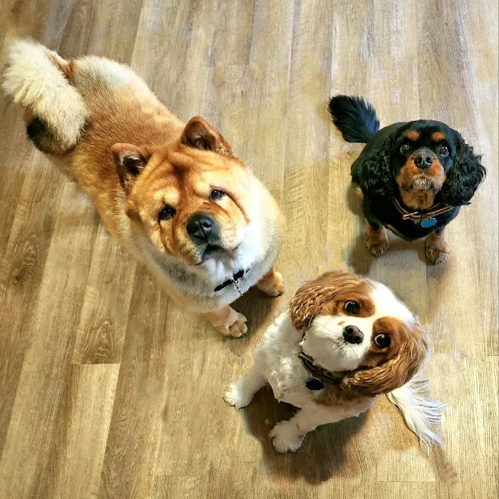 Heartland Animal Clinic 1