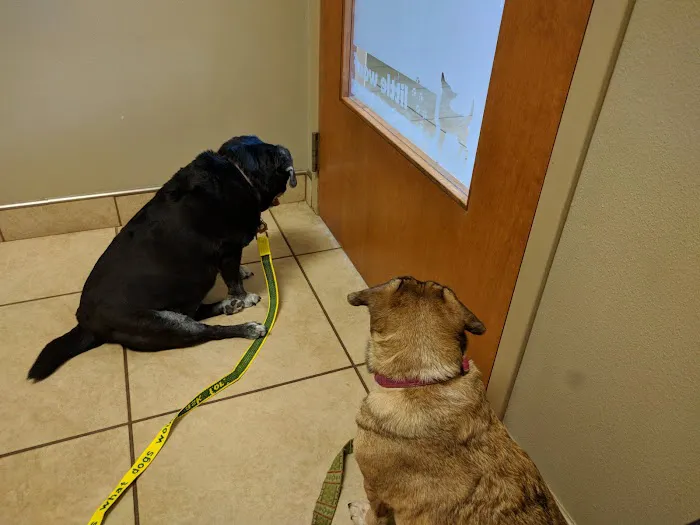 Nixa Animal Hospital 6