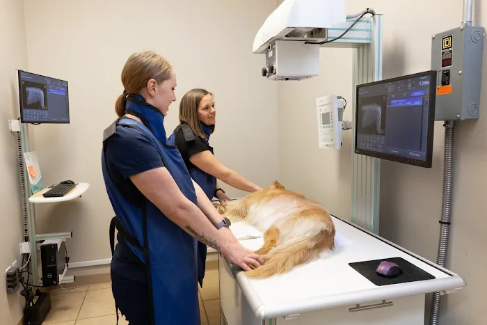 Nixa Animal Hospital 4