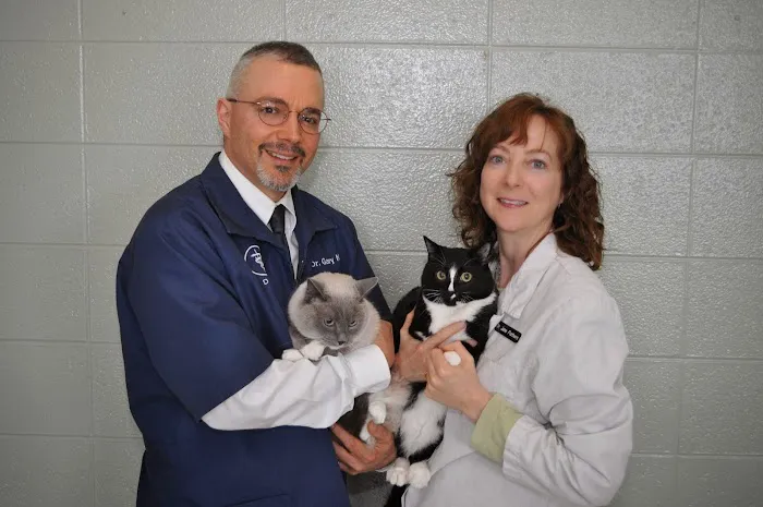 Angel Animal Hospital 5