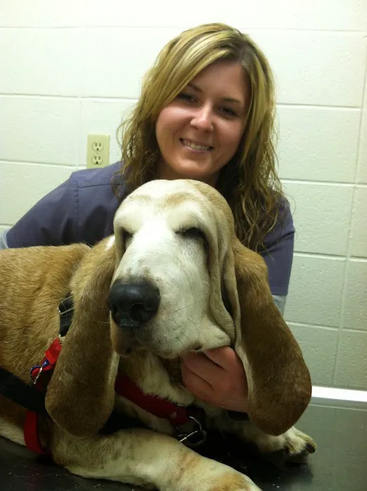 Angel Animal Hospital 10