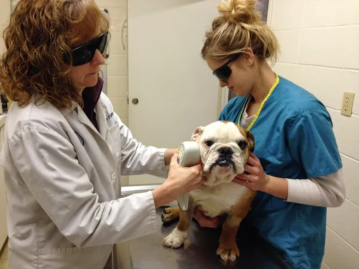 Angel Animal Hospital 8