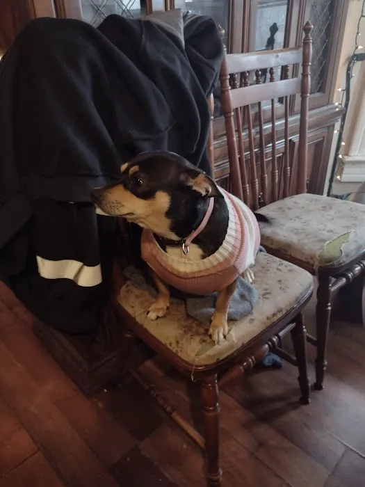 St Francis Animal Hospital 6