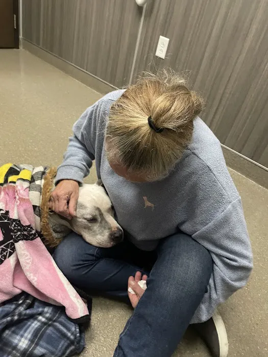 Duquoin Vet Clinic 1