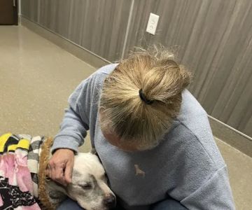 Duquoin Vet Clinic
