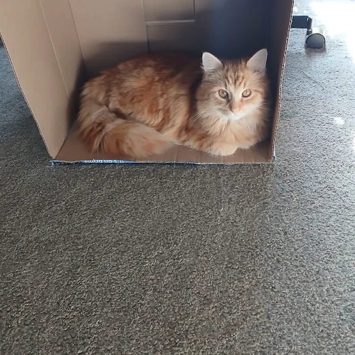 Franklin County Animal Hospital 9