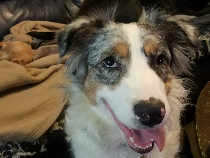 Franklin County Animal Hospital 8