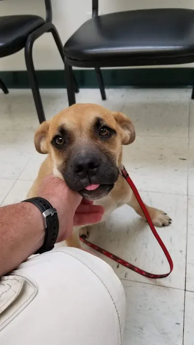 Franklin County Animal Hospital 2