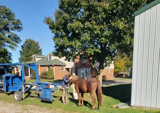 Southern Illinois Equine Clinic 12