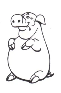 Rudolphi Veterinary Services 12
