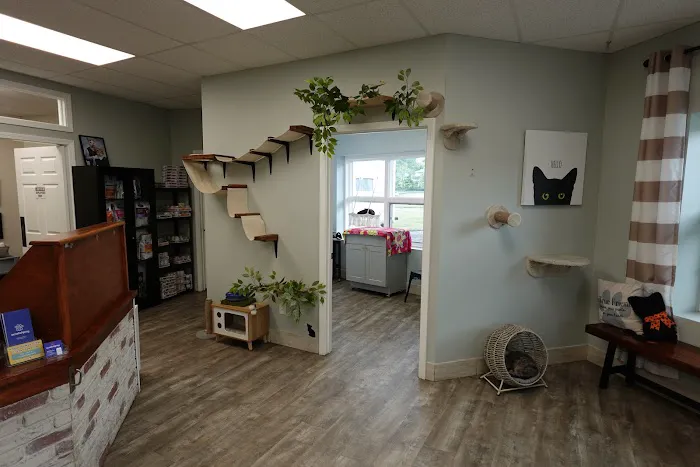 Hometown Veterinary Clinic of Jacksonville 12