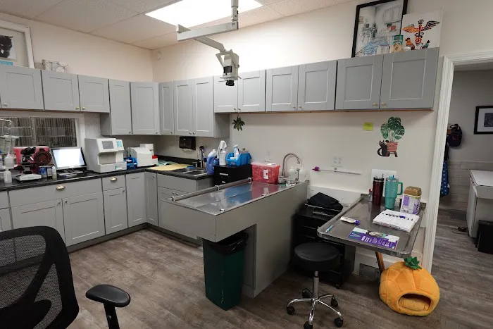 Hometown Veterinary Clinic of Jacksonville 12