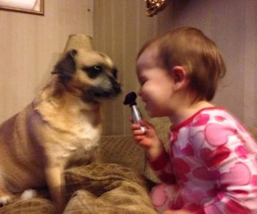 Pleasant Valley Animal Hospital
