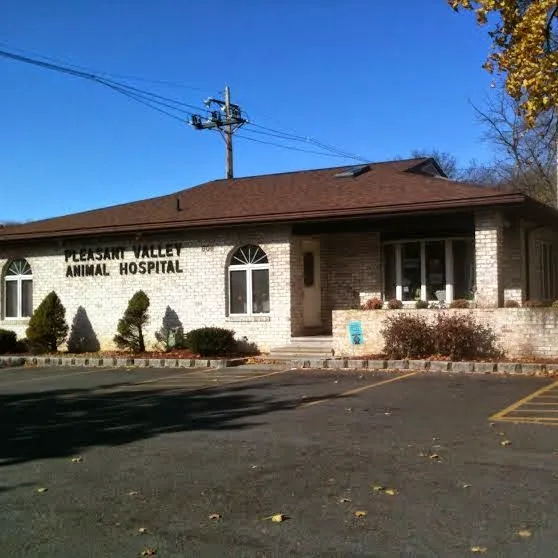 Pleasant Valley Animal Hospital 7