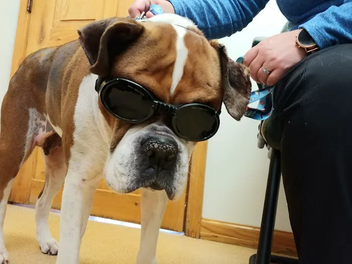 Pleasant Valley Animal Hospital 6
