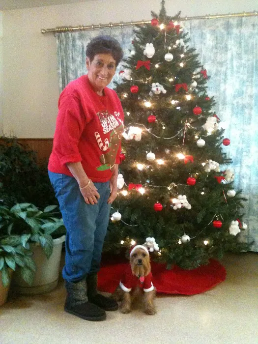 Pleasant Valley Animal Hospital 9