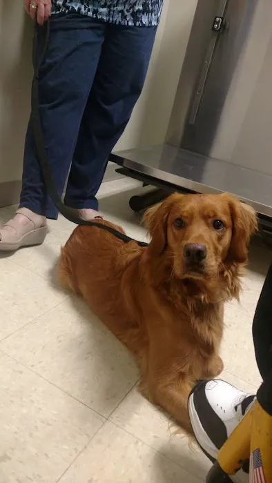 Sylvan Veterinary Hospital 7
