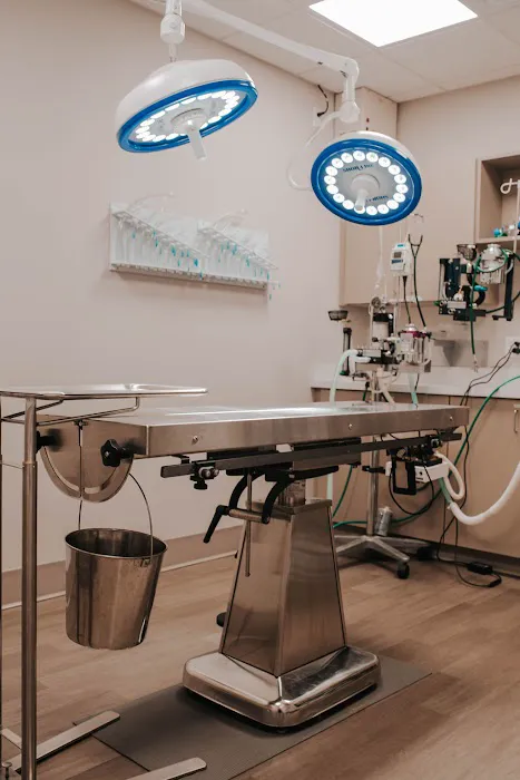 Sylvan Veterinary Hospital 10