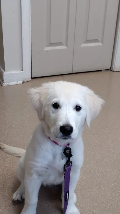 Hollidaysburg Animal Clinic 1