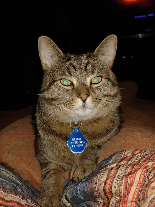 Hollidaysburg Animal Clinic 9
