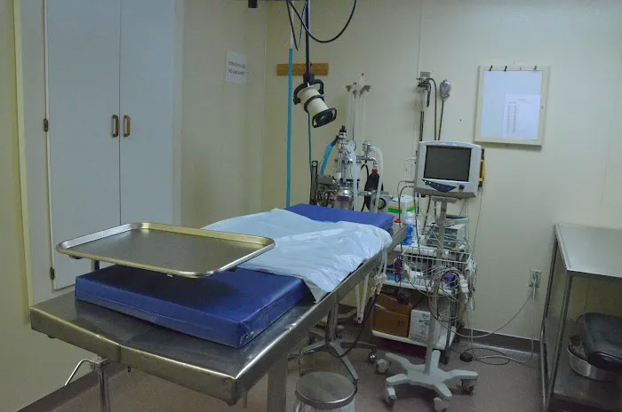 Krichel Animal Hospital Inc. 12