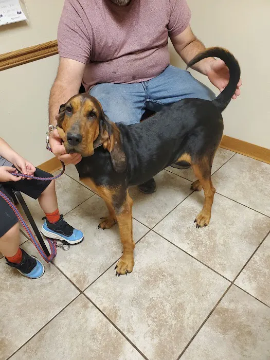 Hancock Veterinary Clinic 12